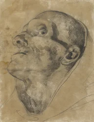 Testa di un uomo che guarda in alto, con sguardo verso il basso
