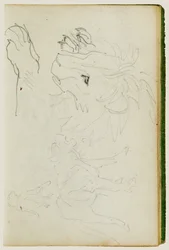 Studi sui leoni