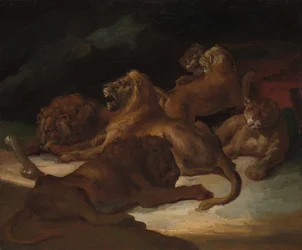 Leoni in un paesaggio montuoso