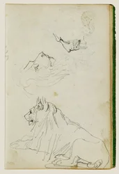 Leone seduto, due studi di teste di leone