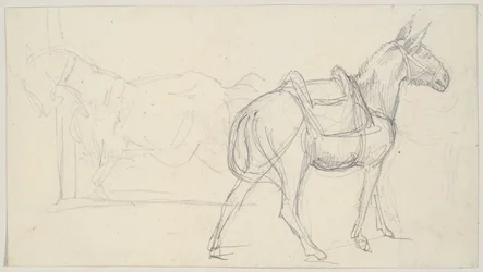 Schizzo di un cavallo