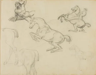 Schizzi: Nudo reclinato, un cavaliere e vari cavalli