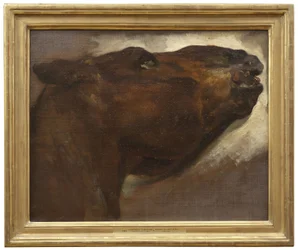 Studio di un cavallo morto
