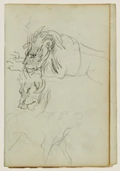 Tre studi sui leoni