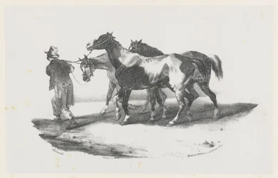 Tre cavalli condotti al macello (Three Horses Being Led to the Slaughterhouse)