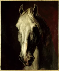 Testa di cavallo bianco. Dipinto di Théodore Géricault (1791-1824)