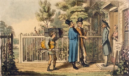 Illustrazione da 
