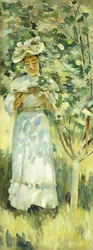 Luce solare e ombre, 1871?