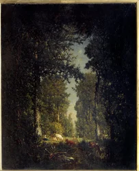 Un viale, foresta di L