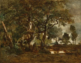 Foresta di Fontainebleau, gruppo di alberi ad alto fusto che si affacciano sulla pianura di Clair-Bois ai margini del Bas-Bréau