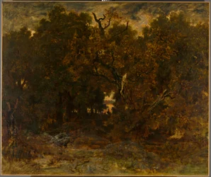 Lasciando la foresta, Fontainebleau: tramonto