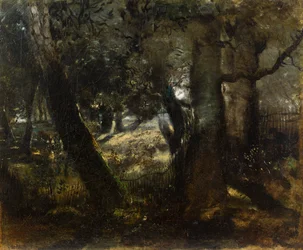 Fagianaia nella Foresta di Compiègne