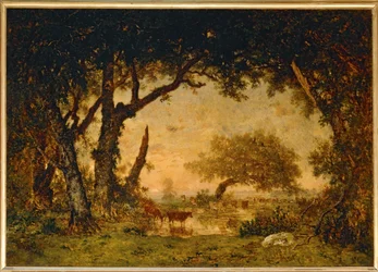 Uscita dalla foresta di Fontainebleau, tramonto...