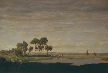 Primavera, stagno