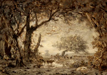 Tramonto dalla foresta di Fontainebleau