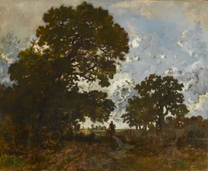 Il faggio nella foresta di L