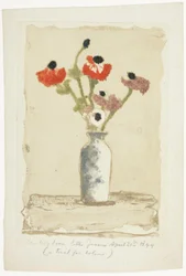 Anemoni