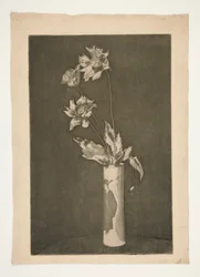 Prova per La Cina (versione in bianco e nero)