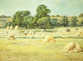 Fienagione