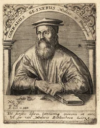 Conrad Gessner, medico svizzero