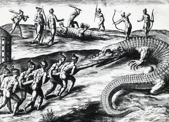 Caccia al coccodrillo in Florida, da dipinto di Jacques le Moyne de Morgues, di Theodor de Bry (incisione)