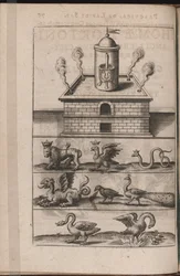 Illustrazione per Tripvs avrevs, hoc est, Tres tractatvs chymici selectissimi..