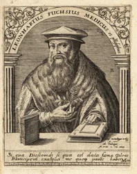 Leonhart Fuchs, medico e botanico tedesco 1501-1566