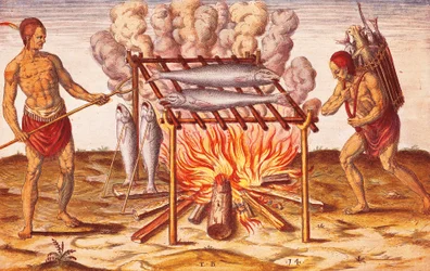 Come gli indiani cucinano il pesce, illustrazione da Admiranda Narratio di Theodore De Bry