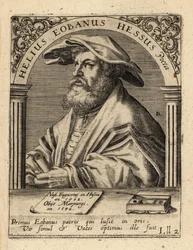 Immagine sconosciuta