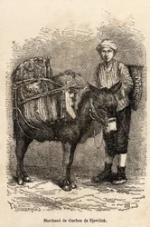 Un venditore di carbone, con il suo asino, a Djewilisk (Anatolia settentrionale), inciso dopo un disegno del narratore, illustrando un viaggio in Lazistan e Armenia, del 1869, di Theophile Deyrolle, pubblicato in 
