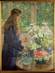 Fiori da giardino