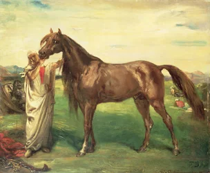 Hadji, uno stallone arabo, 1853
