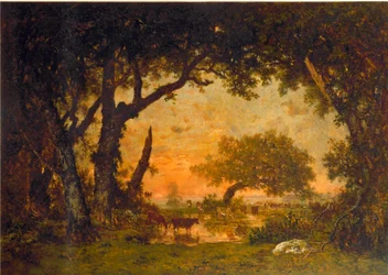 Uscita dalla foresta a Fontainebleau, tramonto