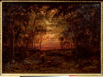 Tramonto nella foresta