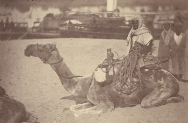 [ Un uomo nordafricano su un cammello sulla riva del Nilo].