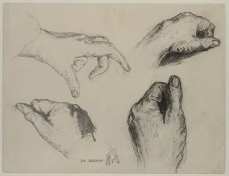Studio delle mani