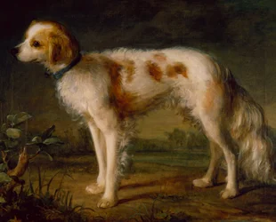 Un cane da caccia in un paesaggio