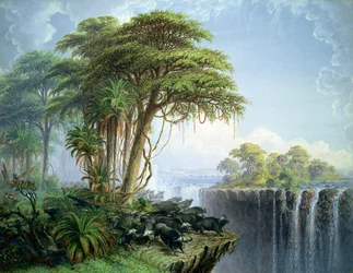 Immagine sconosciuta