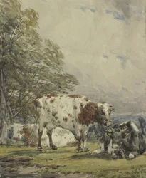 Studio di bovini, XIX secolo