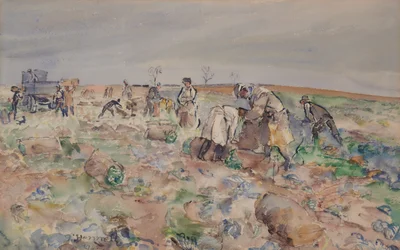 Nel campo di patate