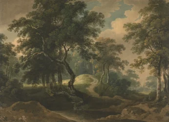 Paesaggio Boschivo