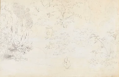 Studio in grafite del ponte e degli alberi da ovest (verso)