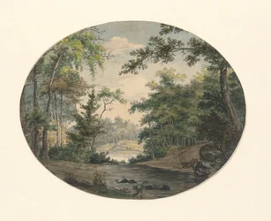 Paesaggio forestale