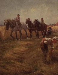 Scena di raccolto