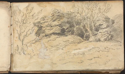 Album di studi di paesaggi e figure: schizzo di alberi e rocce