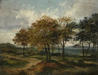Paesaggio boscoso