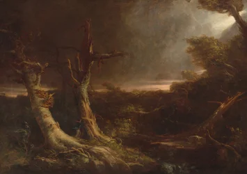 Tornado in una foresta americana