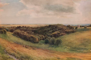 Parco di Arundel, 1874