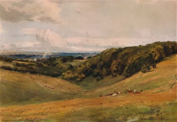 Parco di Arundel, con cervi, 1880
