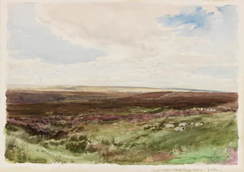 Brughiera vicino a Hart Leap Well, Yorkshire
